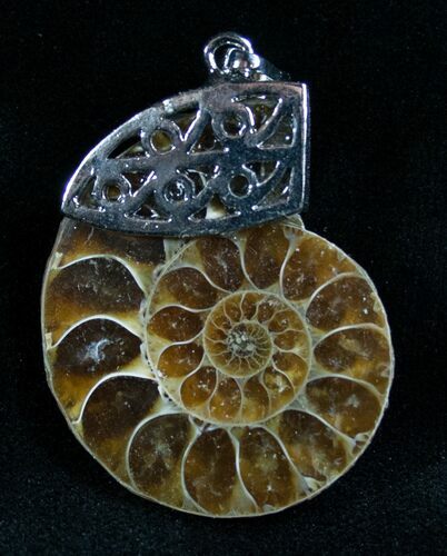 Ammonite Fossil Pendant #7075